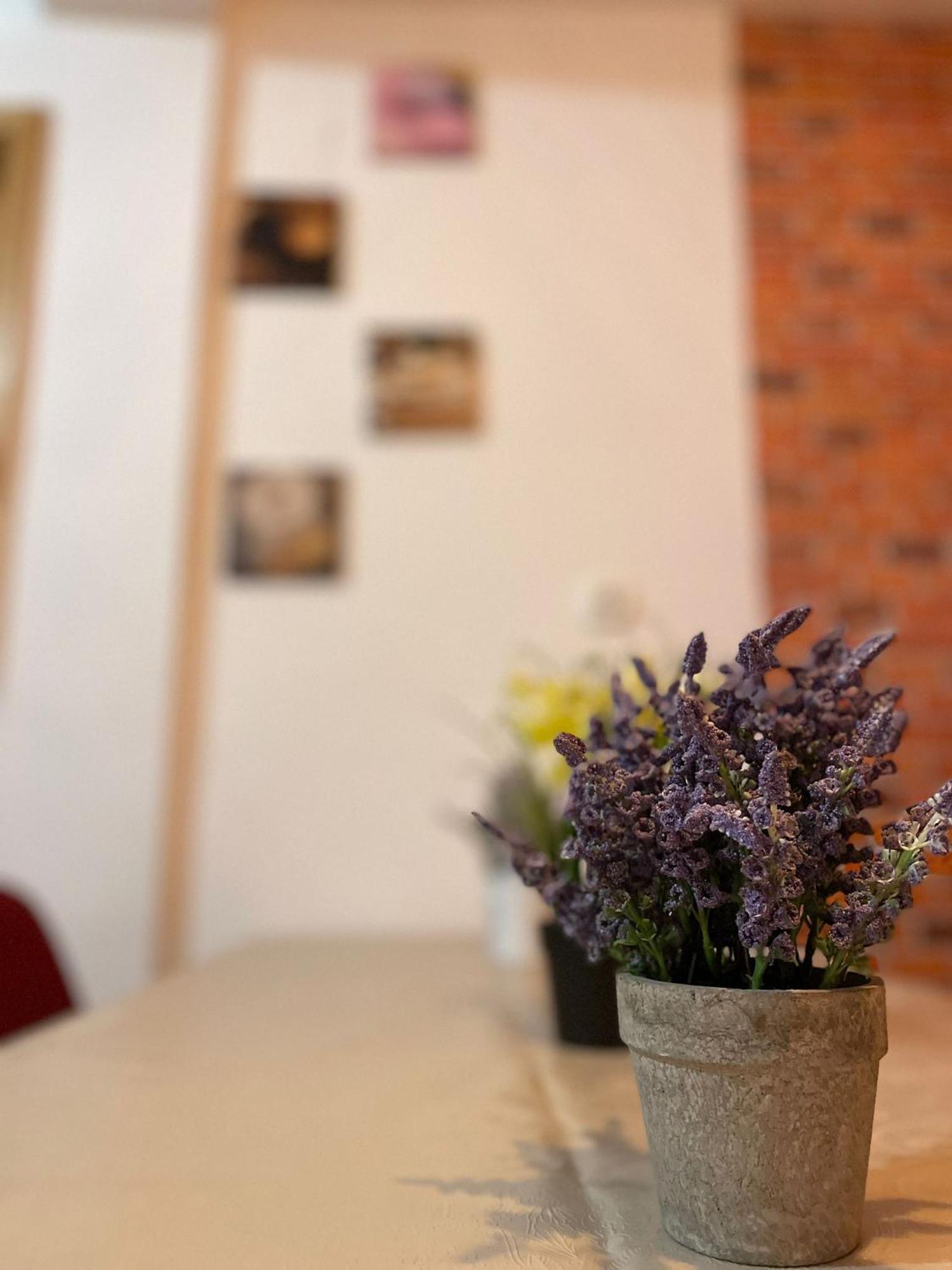 Mossapartments 부쿠레슈티 외부 사진